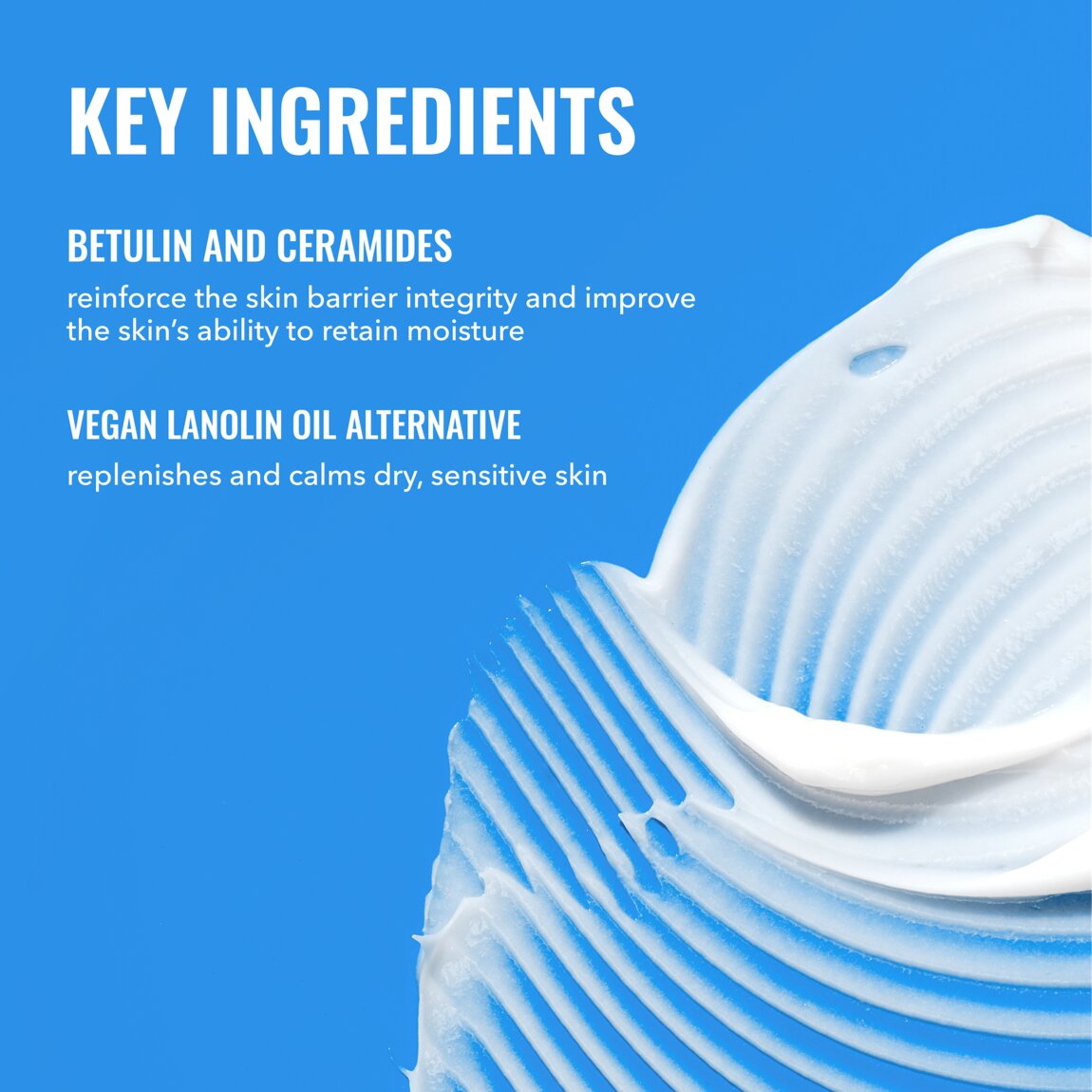 rich-cream-with-ceramides-l9 zb_p.jpg